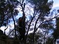 2004-08 Acrobranches 089